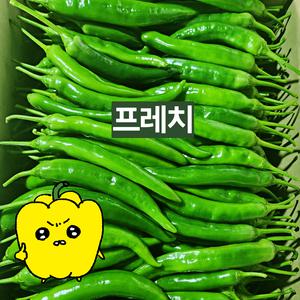 프레치 국내산 싱싱 아삭이고추 오이고추 3kg