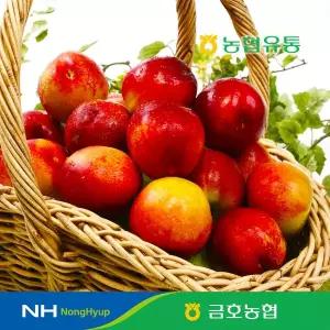 [자연에더]6월15일(월)순차출고!!! 농협과일 영천 금호농협 천도복숭아 3kg (37~47과)