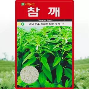 아람종묘 참깨 씨앗 1000립 국산 재래종 참깨씨 종자