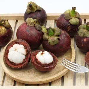 항공수입 태국 생 망고스틴 1kg 프리미엄 열대과일