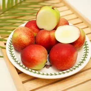 속하얀 신비복숭아 1.5kg (15-20과/중과/실중량) 아이스박스포장
