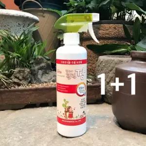 클린팡 500ml 2개 팡이싹 식물 곰팡이 예방 관리제 분무기 무름병 흰가루병 뿌리썩음