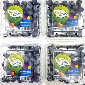칠레 요거트용 고당도 생 블루베리 125g 4팩 18mm 대