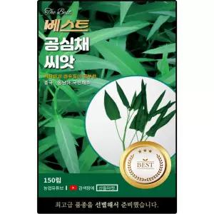 베스트 공심채 씨앗 150립 비타민 섬유질 풍부한 동남아 채소 공심채씨 종자