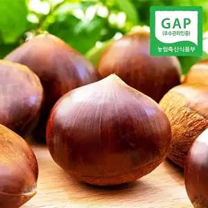[웰굿][GAP인증] 산지직송 충남 공주 정안 옥광밤 2kg(중)