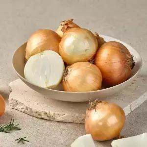 국내산 달큰 아삭한 햇 양파 10kg 특