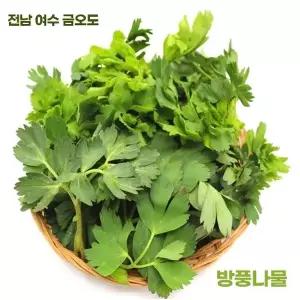 여수 금오동 방풍나물 1kg