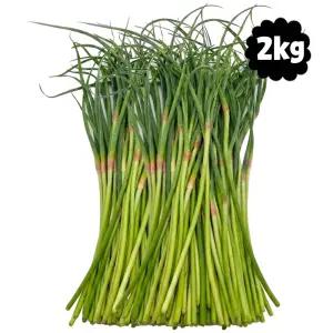 마늘귀신 국산 의성 햇 마늘쫑 2kg / 직접수확 마늘종