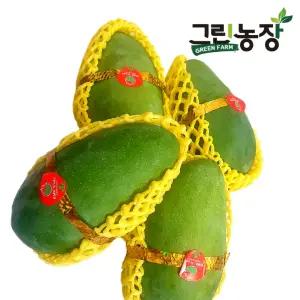 베트남 다일론 그린망고 (Vietnam Green Mango)2.5KG 4수내외