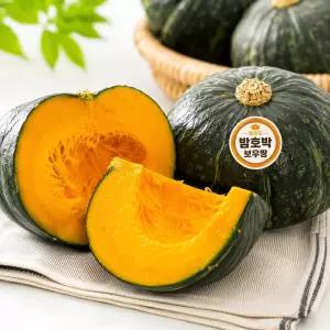 꿍이네 제주도 산지 미니밤호박 달콤포슬 보우짱