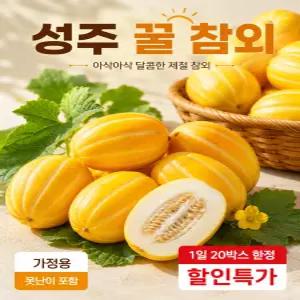 국내산 가정용 고당도 성주 꿀 참외 로얄과 5kg