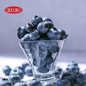 OXFORD 캐나다 옥스포드 야생블루베리 340g9팩