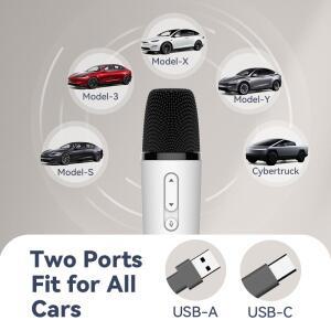 테슬라 T1-카라오케 마이크, USB-A 및 수신기가 있는 충전식 카라오케 플러그하여 사용, 페어링 필요 없음