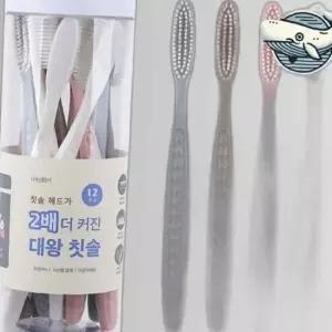 부드러운 헤드 칫솔 다양한 색상 큰 관리용