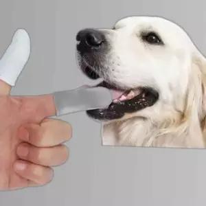강아지 일회용 거즈 손가락 칫솔 2개입 1P 고양이