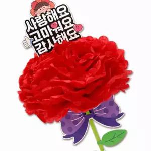 레드 종이카네이션 메세지픽 28장 부모님선물 기념일꽃