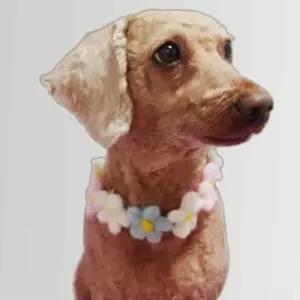 강아지 고양이 반려동물 목걸이 용품 M 꽃