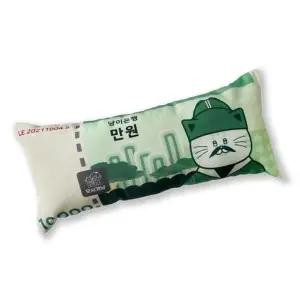 고양이 만원 지폐 캣닢 쿠션 중 1P 사냥놀이 장난감 고양이캣닢토이 (WEC85B9)