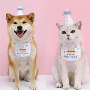 반려동물 생일 용품 강아지 생일 용품 고양이 턱받이 파티 모자 스카프
