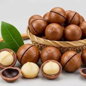통마카다미아 450g 까먹는 껍질 마카다미아 건식 견과
