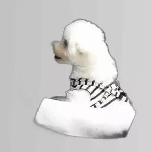 반려 동물 강아지 댕댕이 고양이 쿠션 자동차 카시트