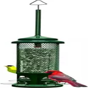 다람쥐 방지 야생조류 먹이통 레거시 금속 소재 씹기 새 모이통 4구 횃대 대용량 1.2kg 피더 세척 용이