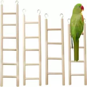 GXXMEI 4PCS 새 장난감 - 잉꼬 앵무새 코카투 러브버드를 위한 나무 사다리 타기
