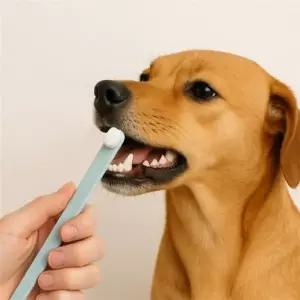( )반려동물 초미세 만모칫솔 그린 고양이초미세모 강아지칫솔 소형견칫솔