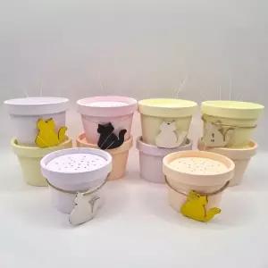고양이 수염 화분 4color 냥이 다묘 장난감 애완용품 아기고양이 고양이키우기 애완고양이