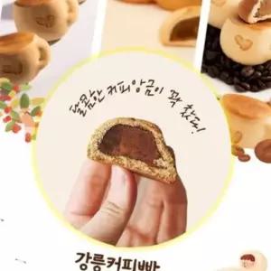 강릉 커피콩빵 강원도 특산물 커피빵 앙꼬 선물 6개입