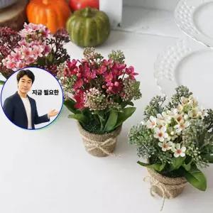 지금 필요한 인테리어 조화 소품 내방꾸미기 인조꽃 미니 화분 1P 아멜리아