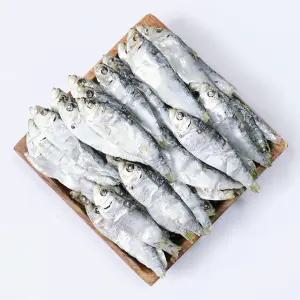 백송식품 국물내기진수 디포리 (밴댕이/다시용) 원물박스-1.5kg