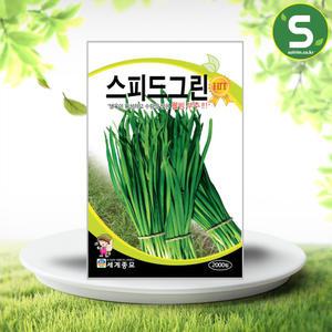 스피드그린부추씨앗 2000립 부추 씨앗 종자