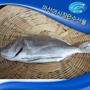 e수산물 제사용 참돔 중대 특대 제수용생선 반건조참돔  제수용 고급 민어 제사용생선