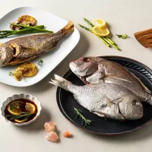반건조 참돔 1미 33cm 400g 국내산 고급 손질생선 제수용 가정용
