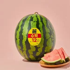 꿀처럼 달콤한 수박 9~10kg미만