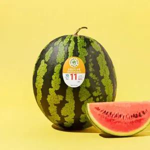 유명산지 수박 9~10kg미만