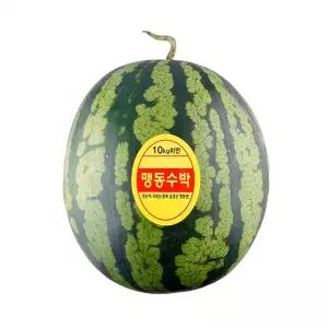 유명산지 맹동수박 9~10kg미만