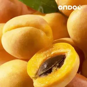 [온도씨] 새콤달콤 첫 노지 살구 중대과 1kg (20개내외)