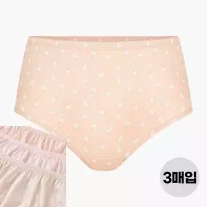 BYC 여성 순면 맥시 삼각 팬티 3매입 세트 엄마 할머니 큰사이즈 속옷 선물
