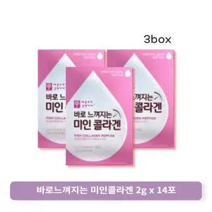 애플트리김약사네 바로 느껴지는 미인 콜라겐 2g x 14개입 x 3박스