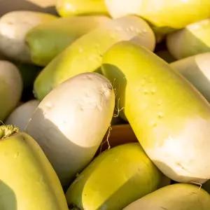 제주 아삭하고 달큰한 세척 월동무 10kg