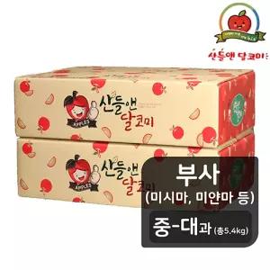 [산들앤][중대과]산들앤 달코미 세척사과 2.7kg x 2박스 (총 5.4kg)