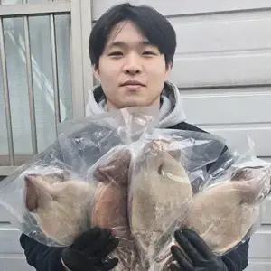 포항 구룡포 반 건조 오징어 건오징어 피데기 10마리 950g (원양산:대서양)
