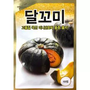 달꼬미 100립 농우 26년 호박씨앗