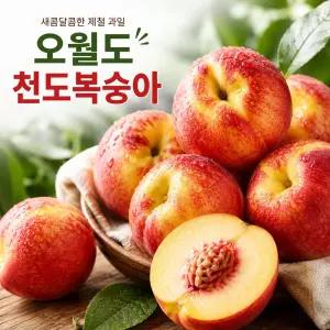 26년 첫수확 국내산 오월도 천도복숭아 4kg 대과(56과 내외)