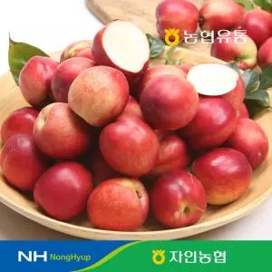 농협유통 경산 자인농협 신비복숭아 2kg ( 20~25과 )