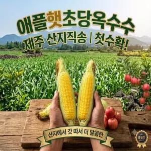 [재구매율최고] 국내산 고당도 프리미엄 애플햇초당옥수수 특 중품사이즈 5EA~20EA