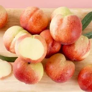 [대형마트 납품] 26년 신비 복숭아 3kg 특대과(15-25과)