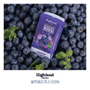 {백화점 상품} 하이랜드 프레쉬 100% 블루베리 착즙 주스 48팩 120mL (백지연 PICK) 453930